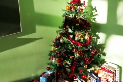 IMG_20191220_114244