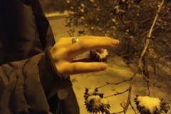 WYRÓŻNIENIE Nina Dąbrowska 6a