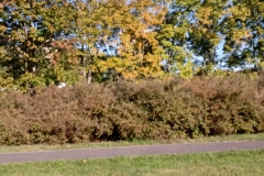 308128141_1543626749427501_5160042006719339164_n