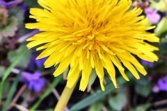 IMG20220428142617