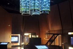 IMG20230126094916