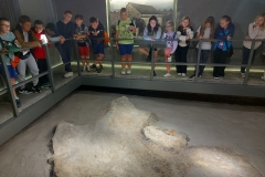 IMG-20240604-WA0022